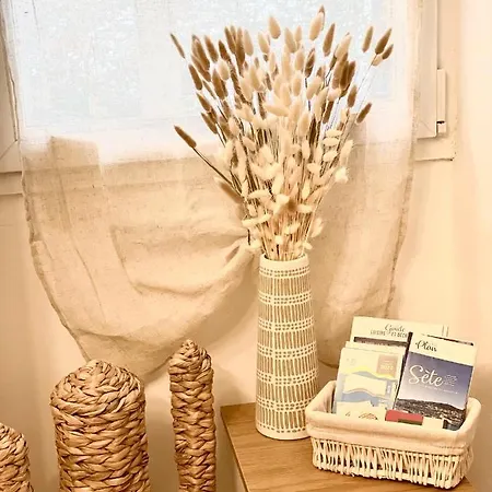 Magnifique T2 Duplex Secteur Gare/theatre