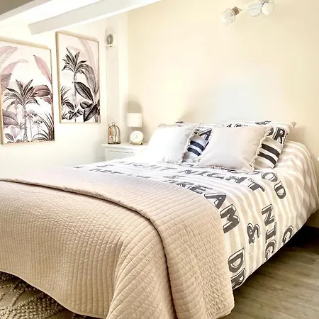 Апартаменты Magnifique T2 Duplex Secteur Gare/theatre *