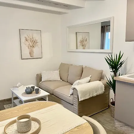 Magnifique T2 Duplex Secteur Gare/theatre *