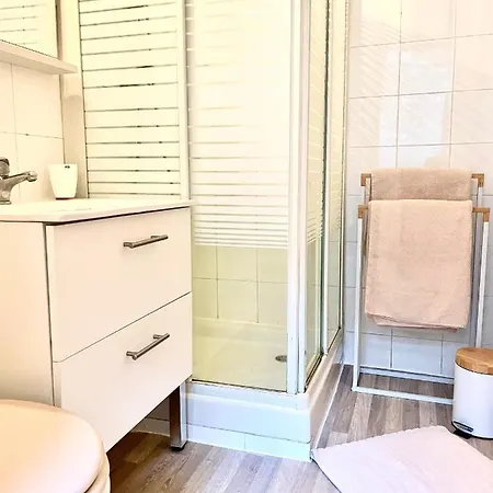 Apartment Magnifique T2 Duplex Secteur Gare/theatre *